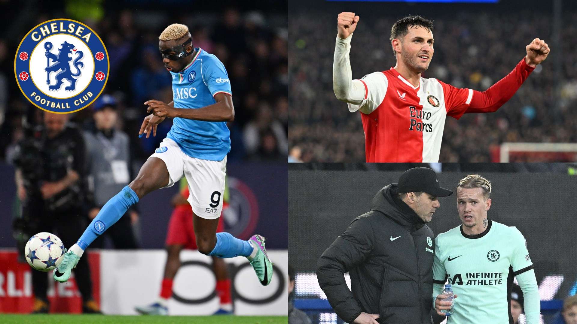 包括球员的 包括球员的